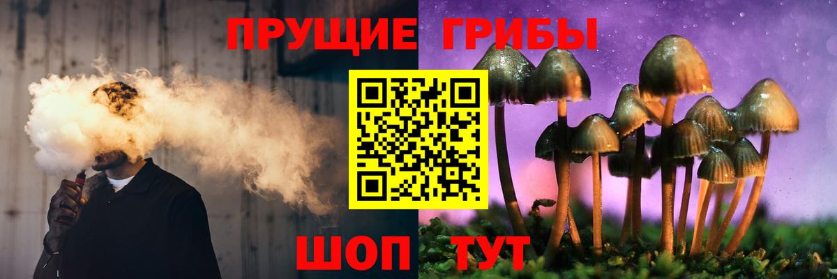 цена   Галлюциногенные грибы ЛСД  Вход с VPN  Аргун 